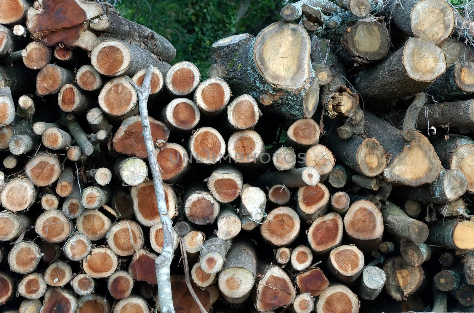 Chopped wood