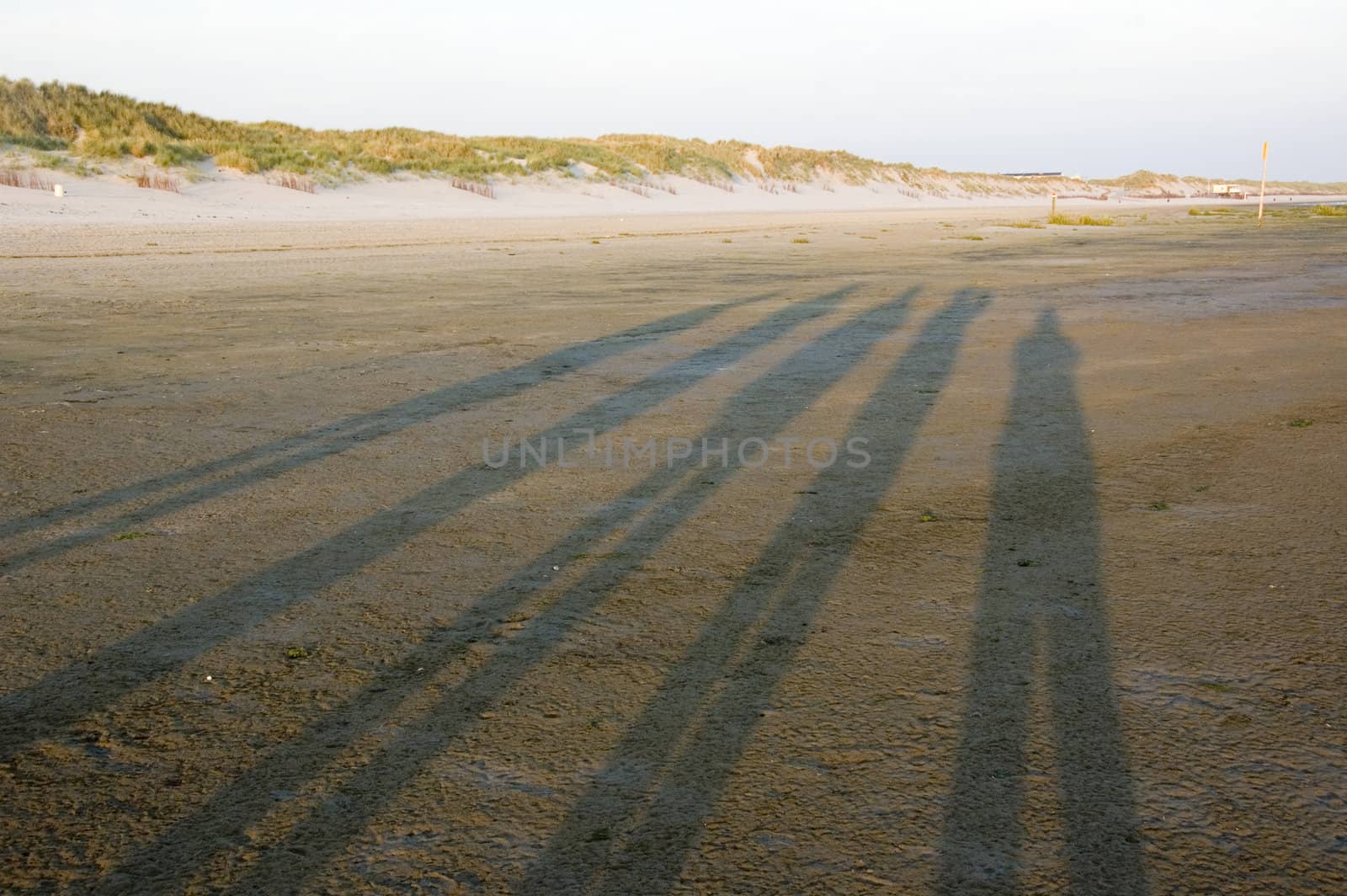 shadow of people on the beach during sunrise