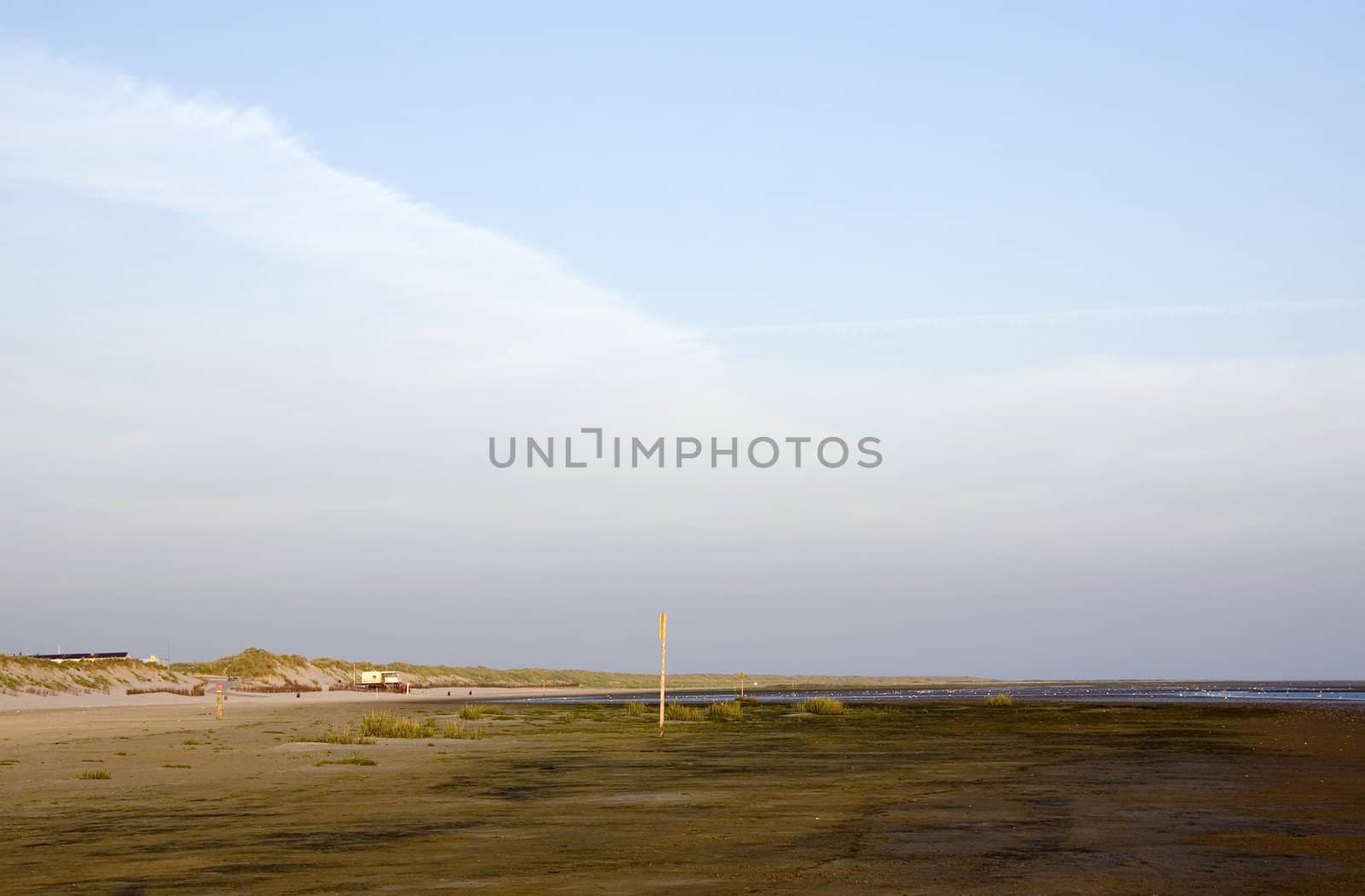 beach view of ameland , the netherlands by ladyminnie