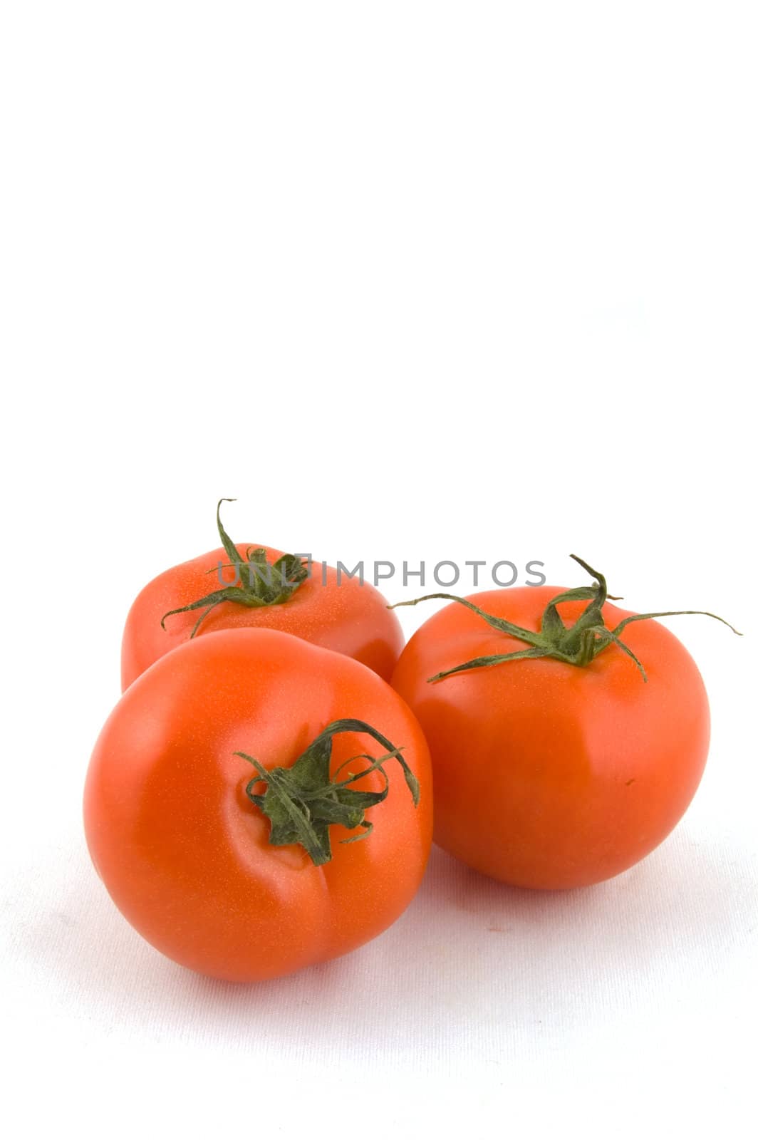 fresh tomatoes isolated on white background by ladyminnie