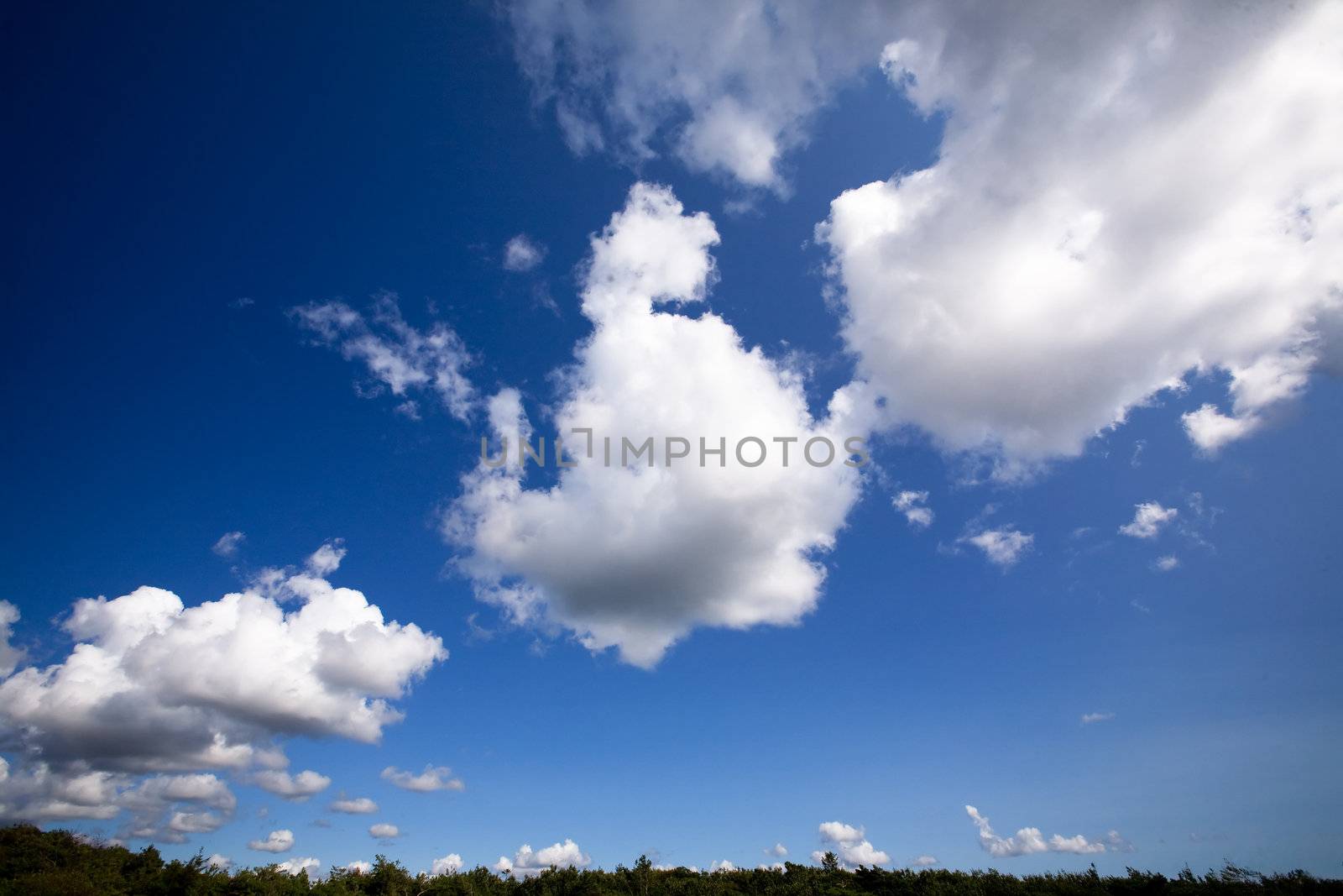 Cloud Background by leaf