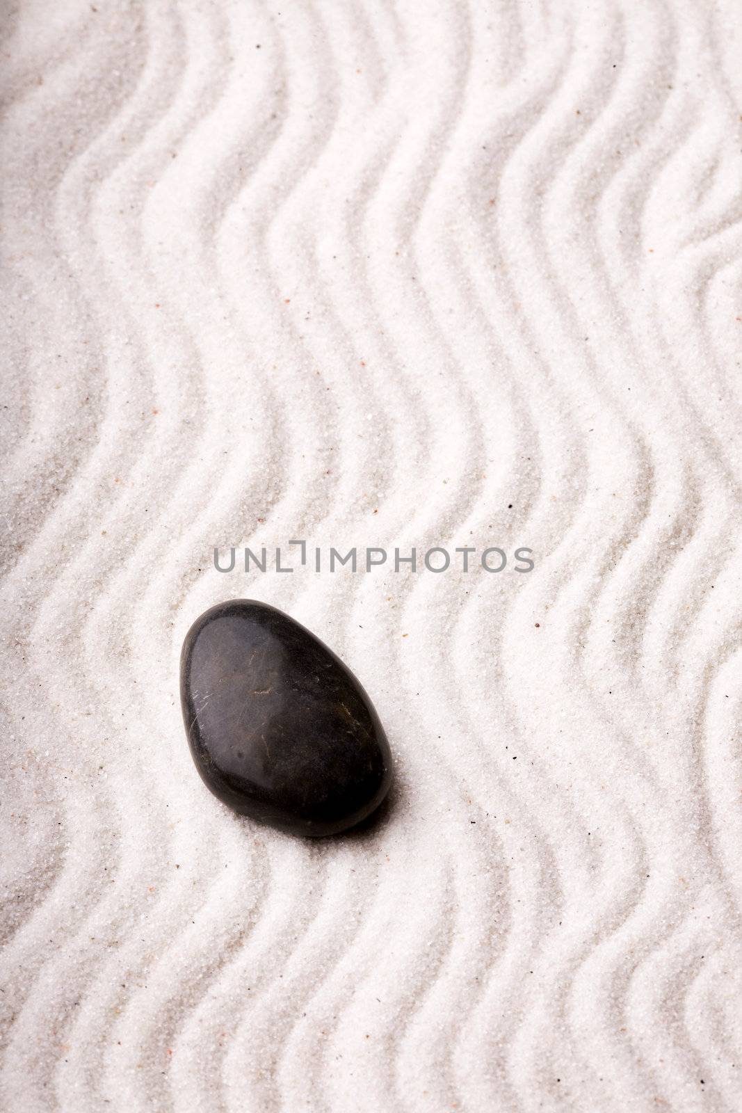 Oriental Rock Garden by leaf