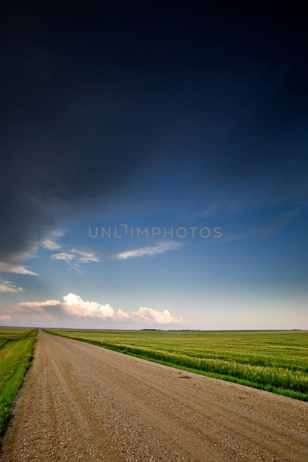 Prairie Landscape by leaf