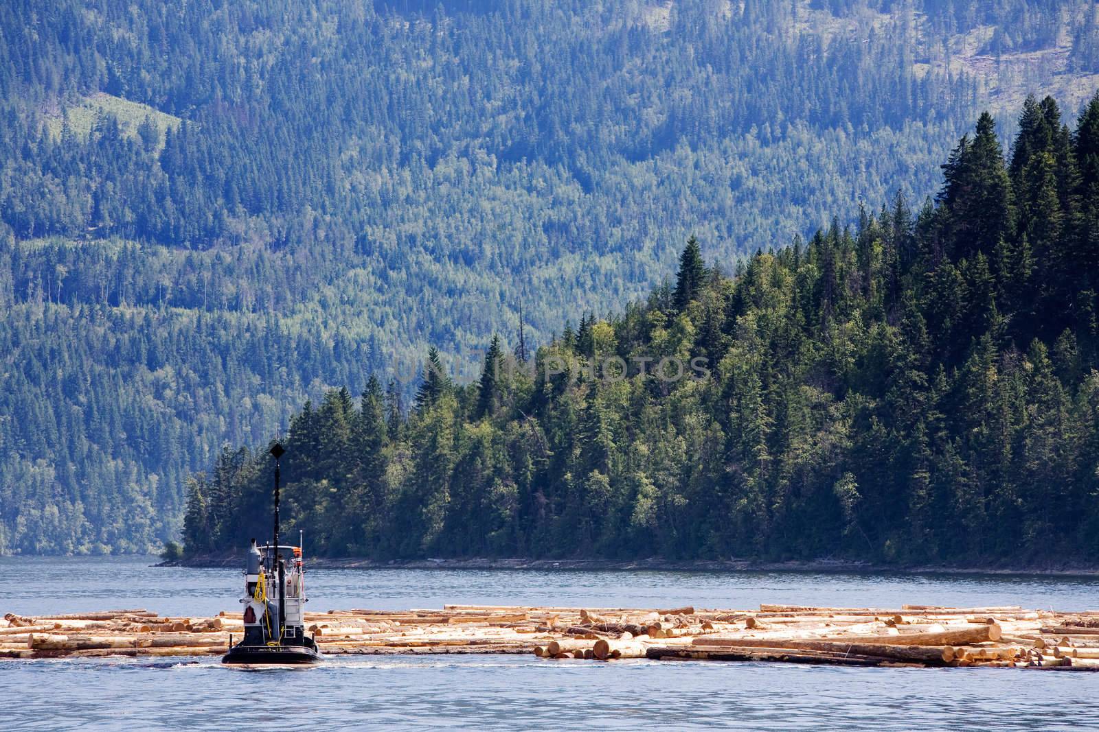 A logging boat on the coast