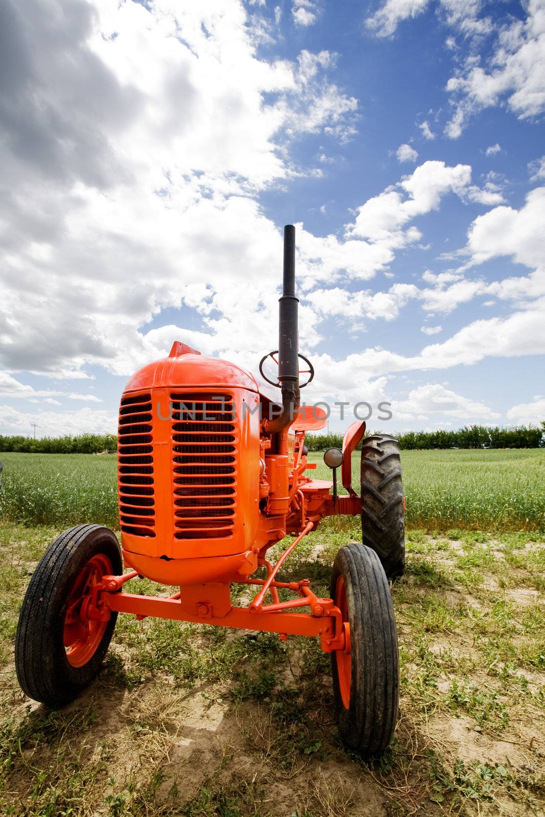 An old orange retro tractor in a field