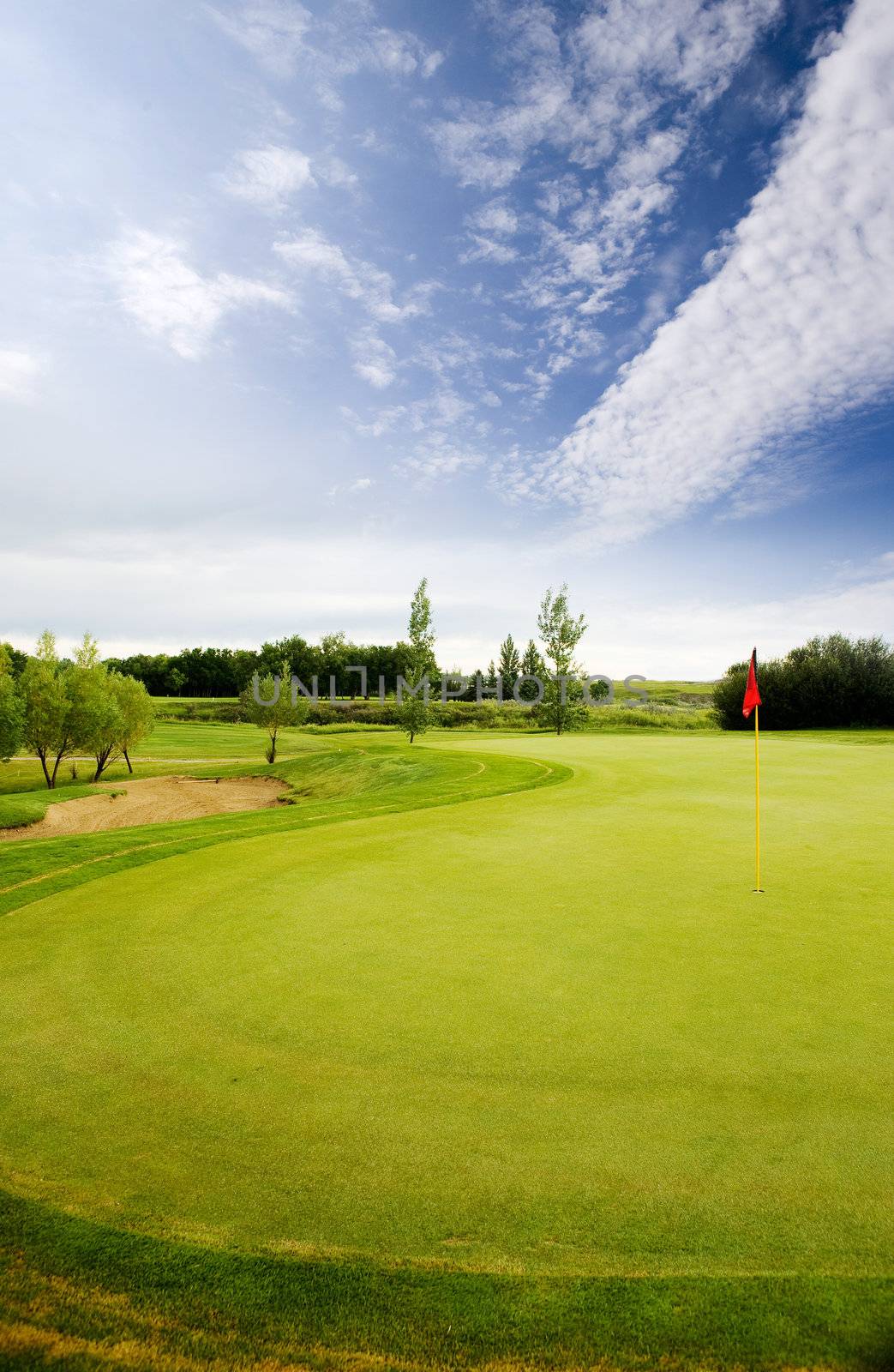 A golf course on a beautiful blue day