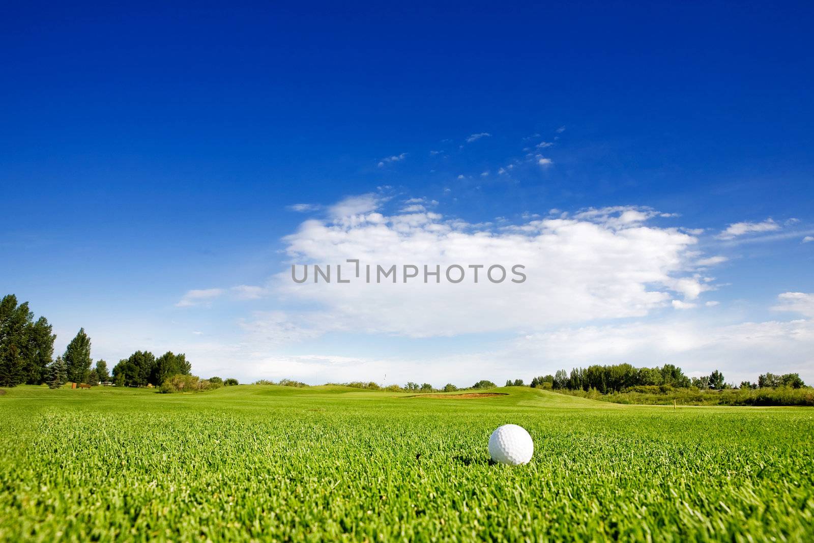 A golf ball on a fairway on a golf couse