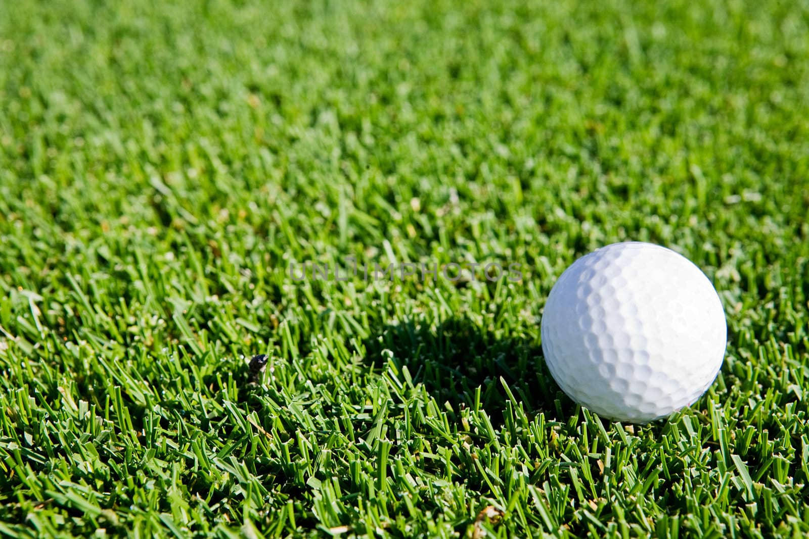 Golf Ball Background by leaf