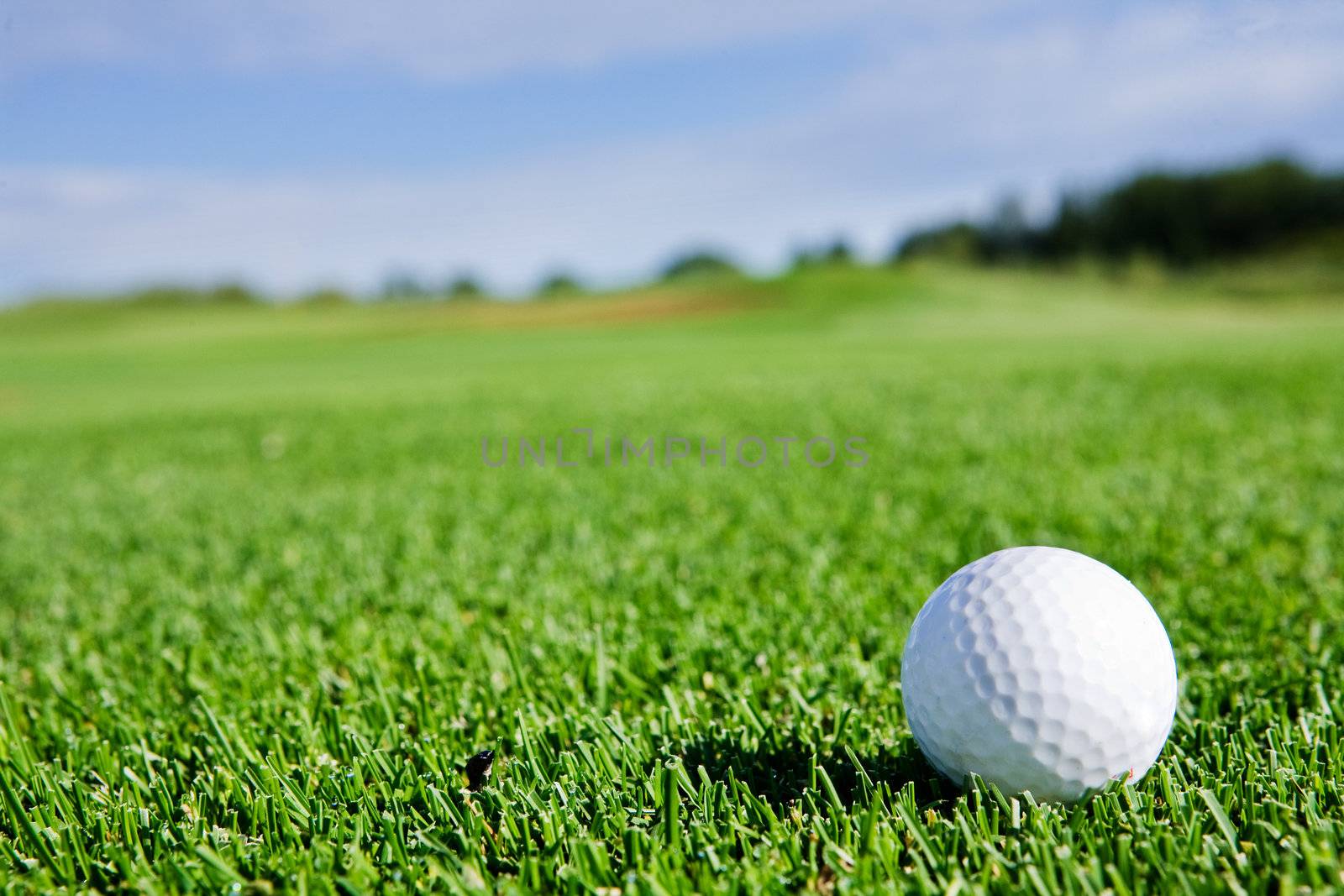 A golf ball sitting on a fairway