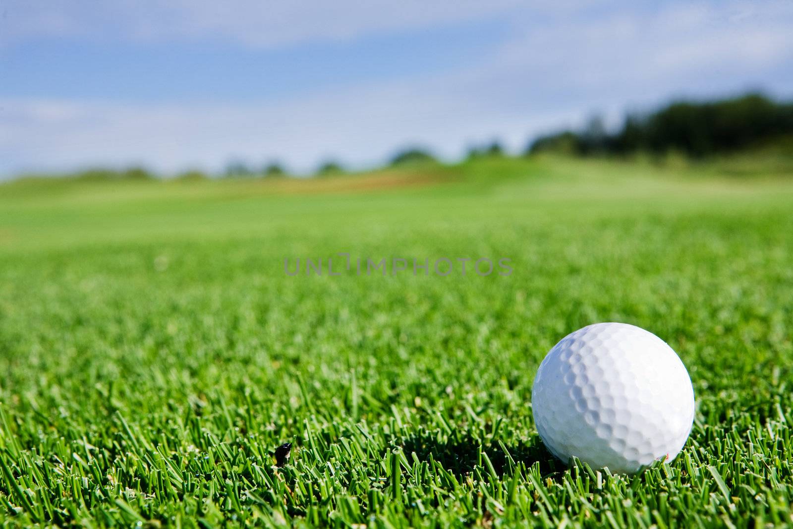 Golf Ball by leaf