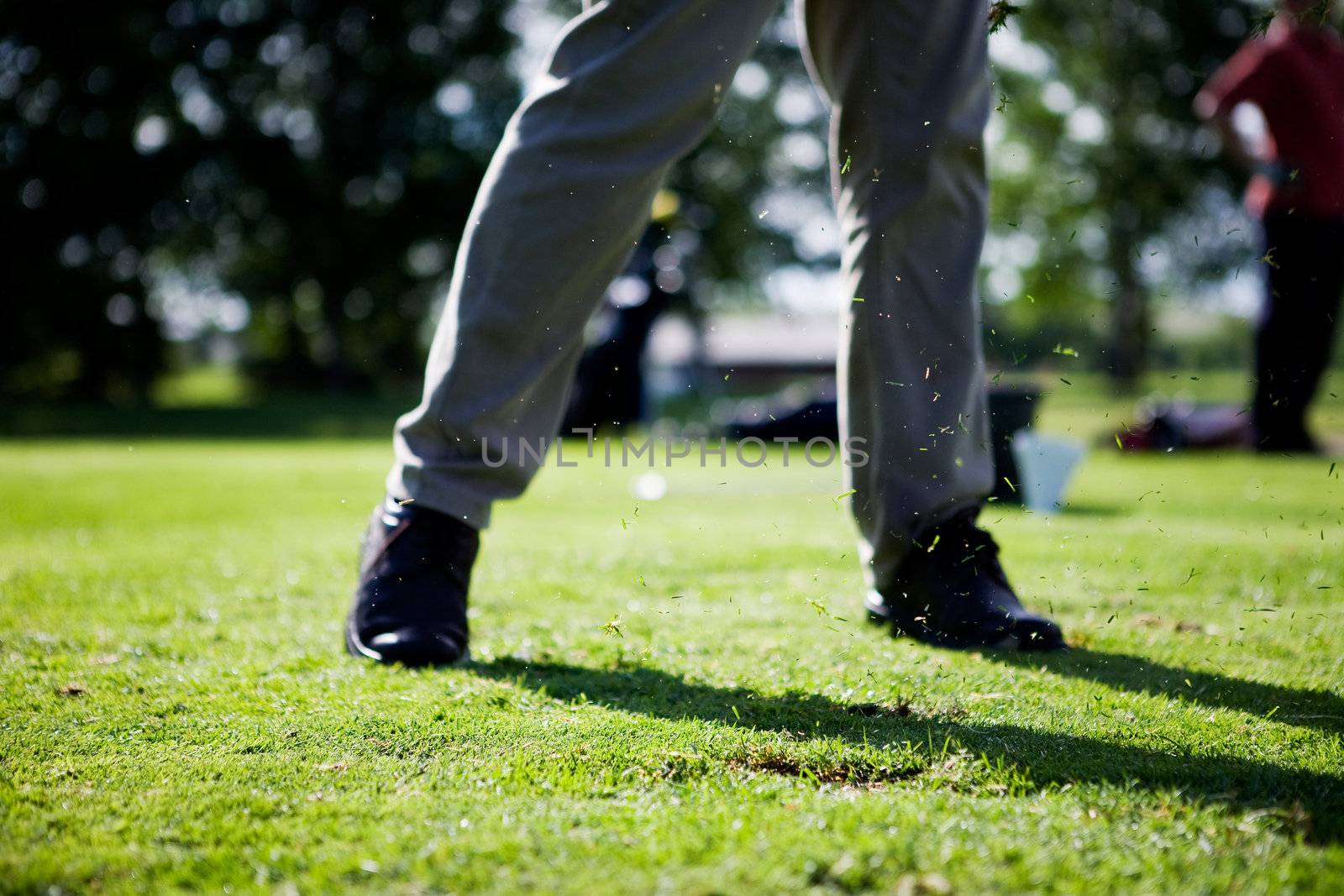 Golf Swing with grass flying in air.  Focus on the flying grass.