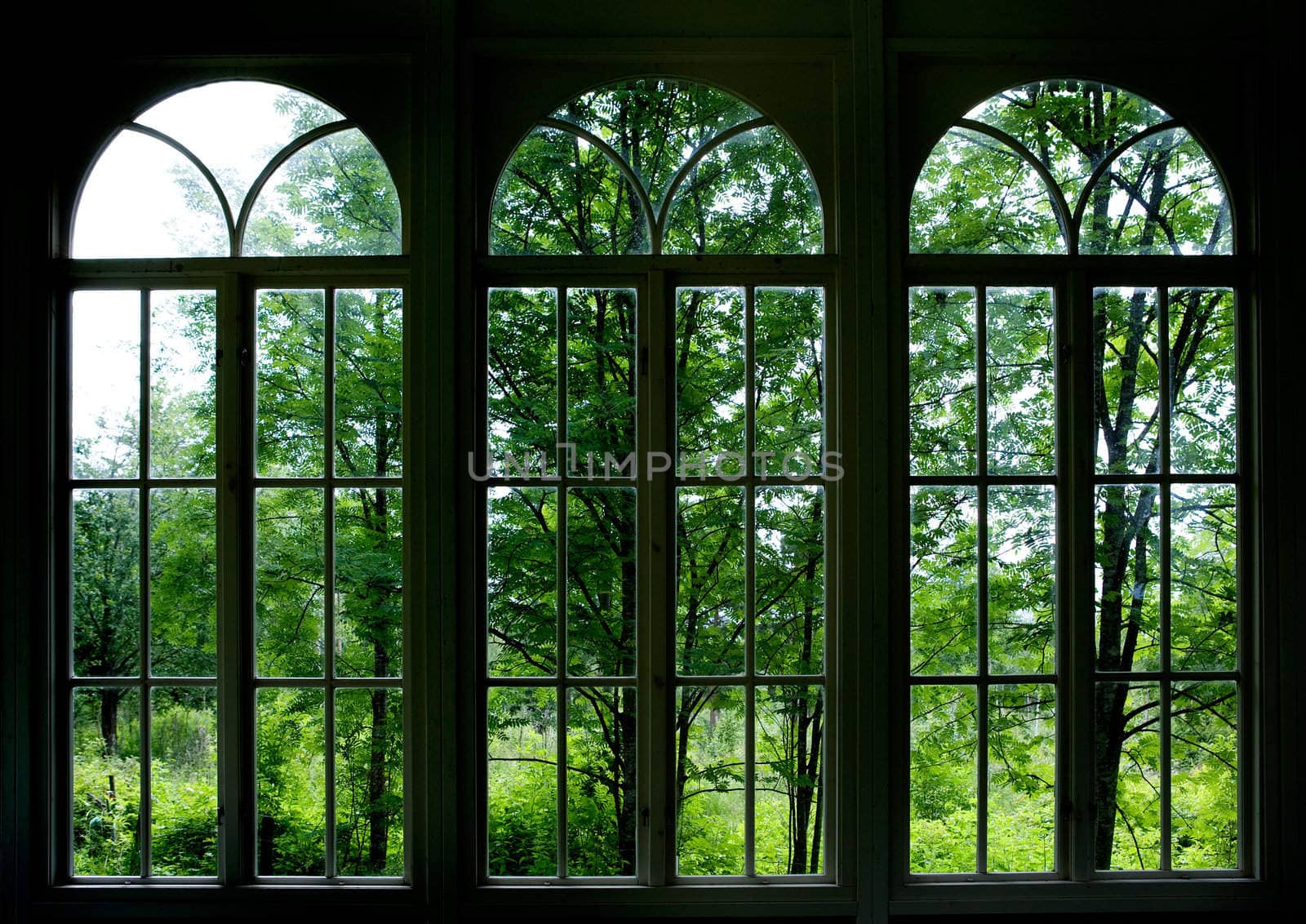 Large arched windows looking out into a garden or forest
