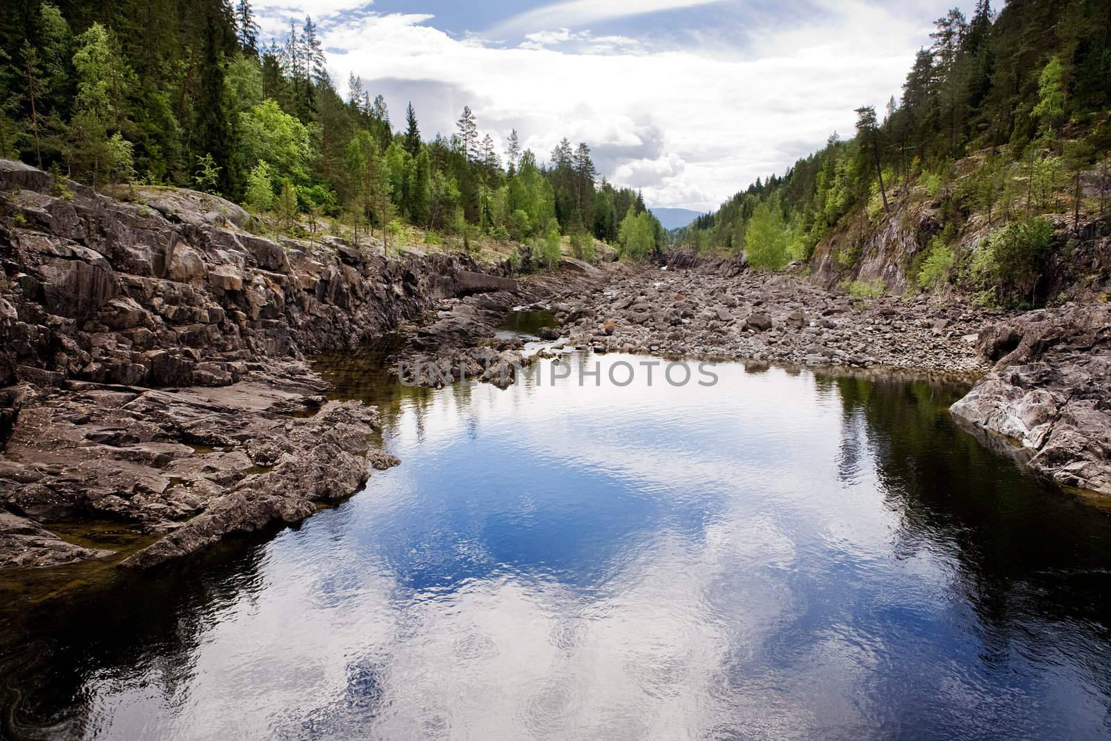 Dry River Bed by leaf