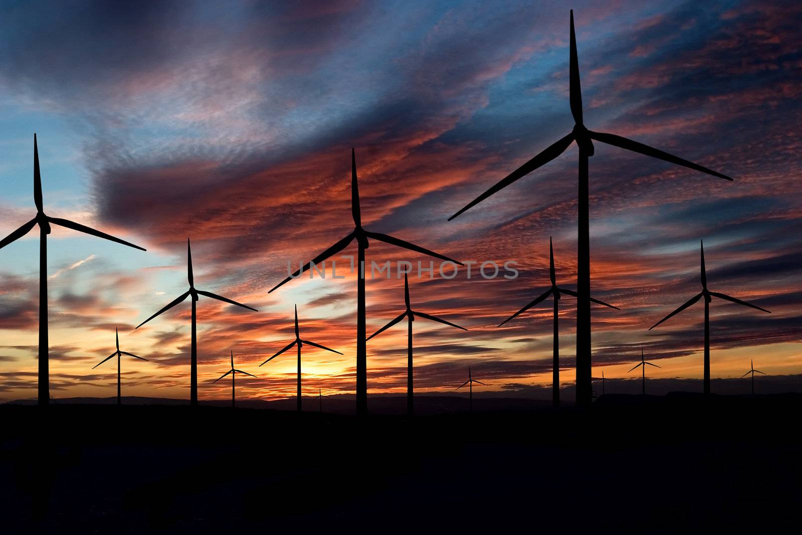 Wind power landscape at sunset on a flat horizon