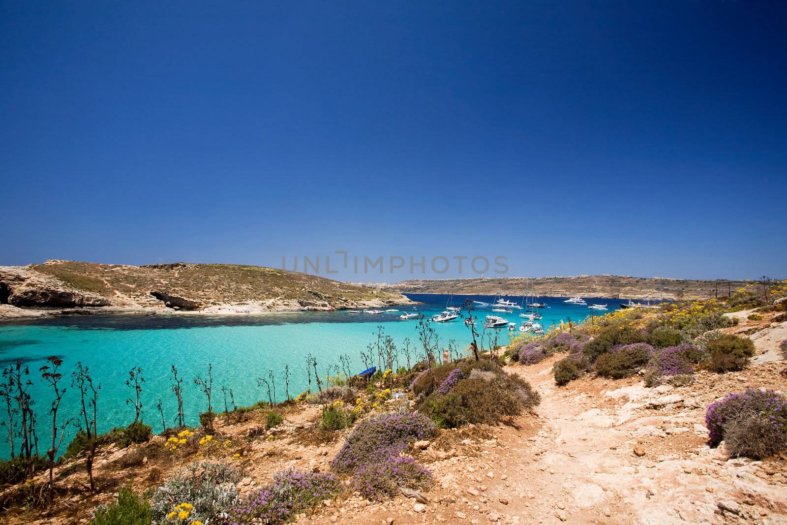 Gozo Blue Lagoon by leaf