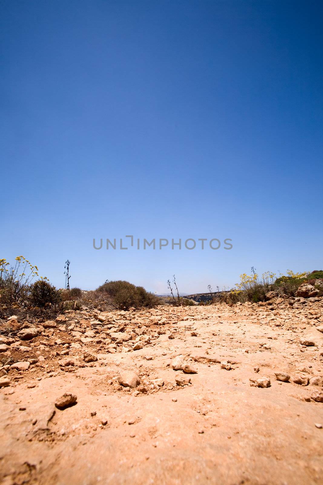 An old dirt road with a deep blue sky