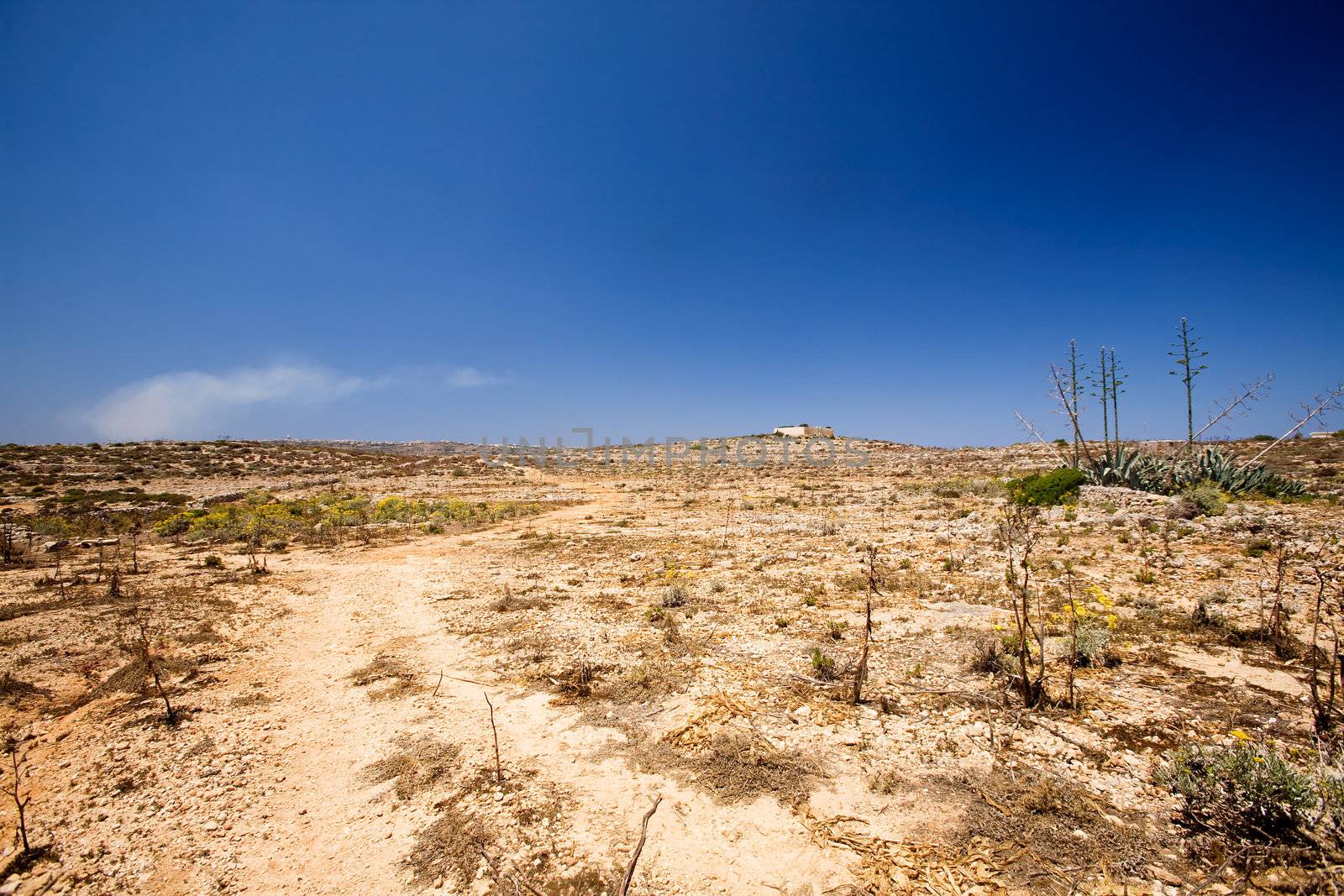 A very dry desert landscape, comino malta