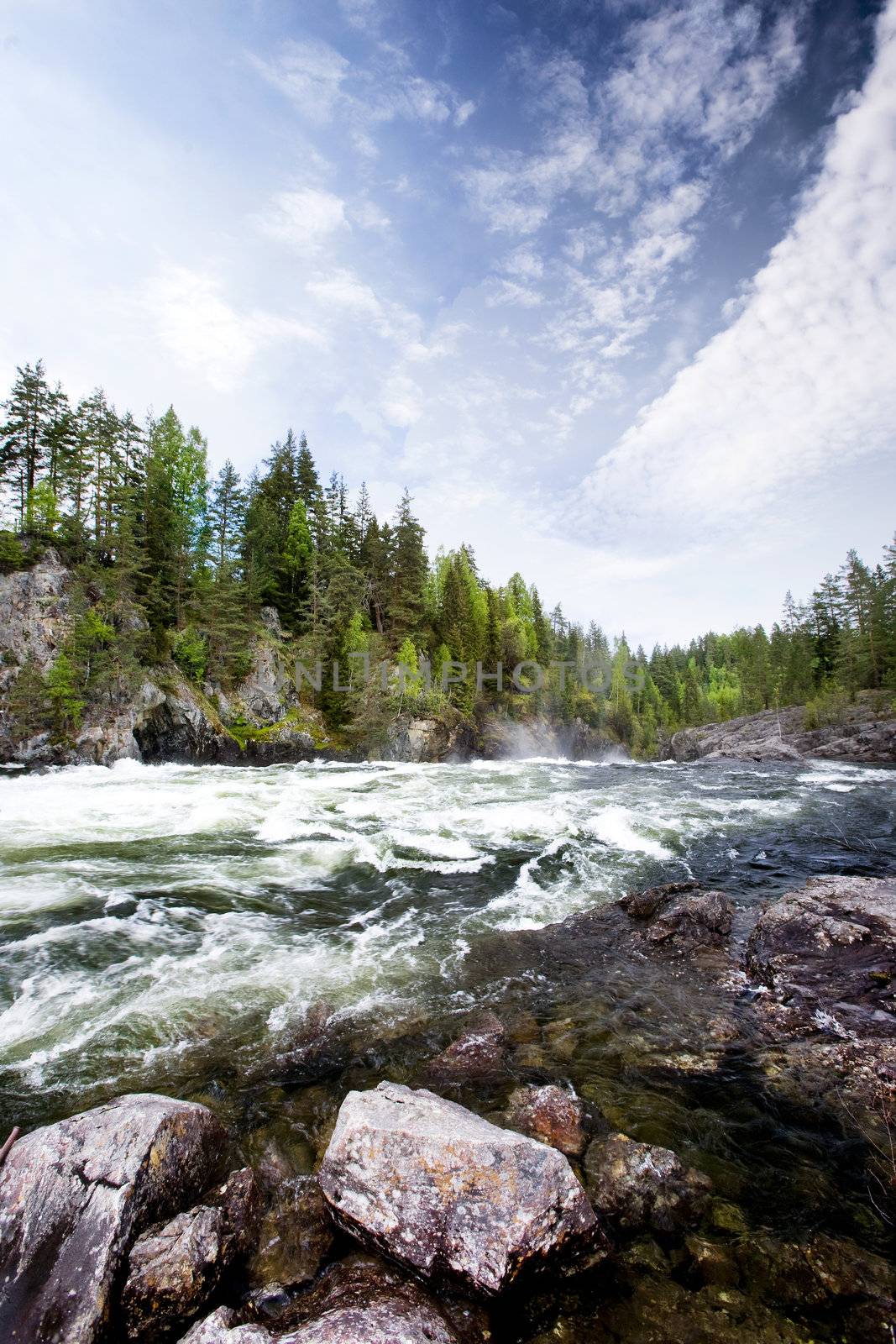 White Water River by leaf