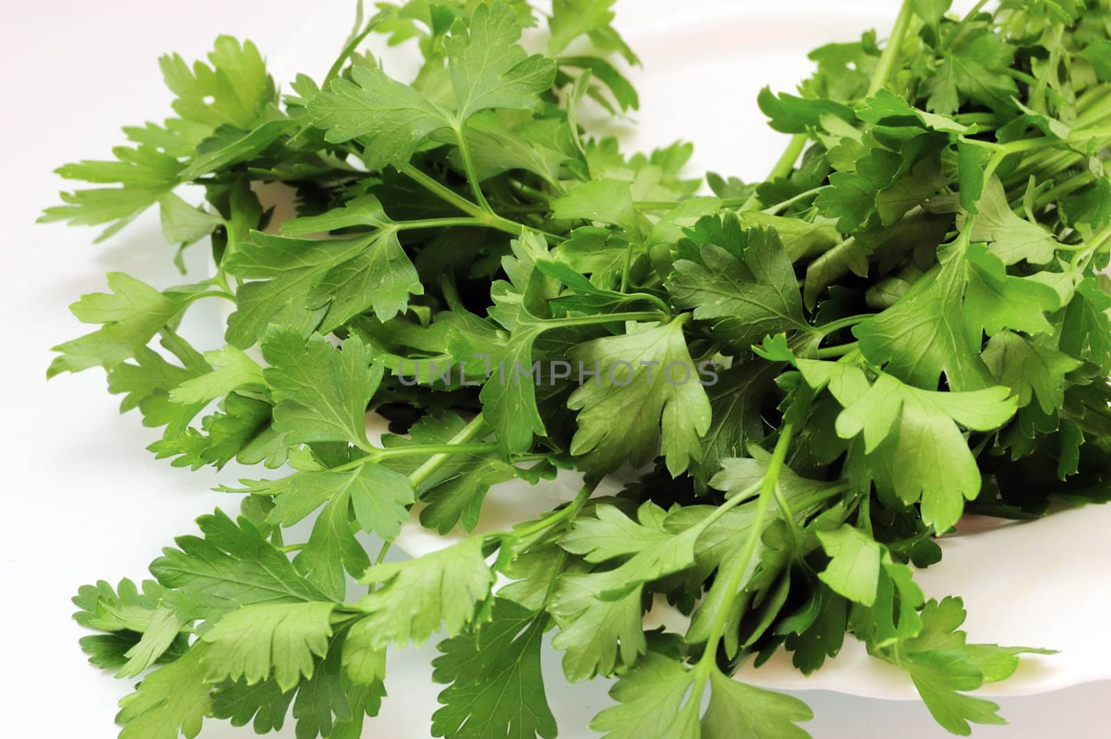 parsley on plate