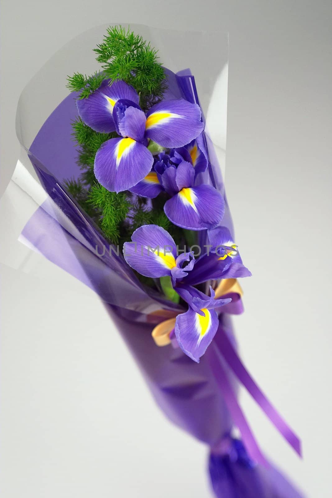 Details of beautiful bouquet of purple flowers, isolated on white background.