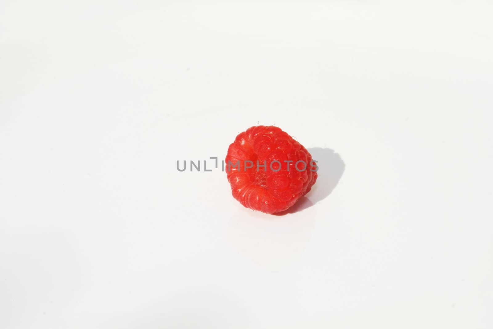 Single raspberry against white background