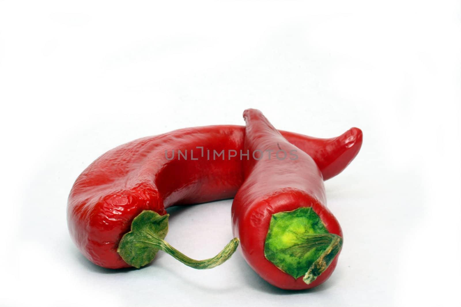 Two red chili peppers on white background