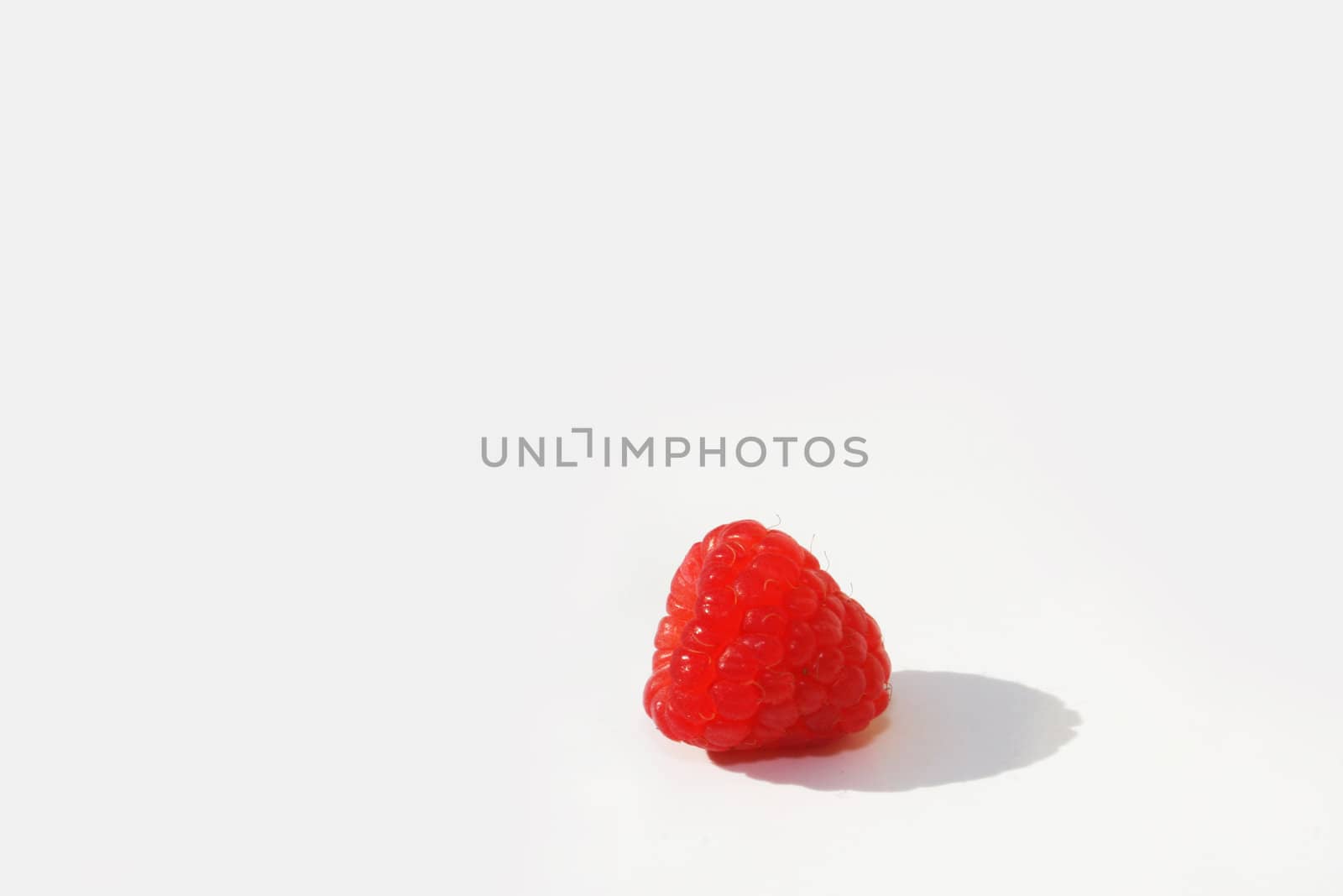 Single raspberry by timscottrom