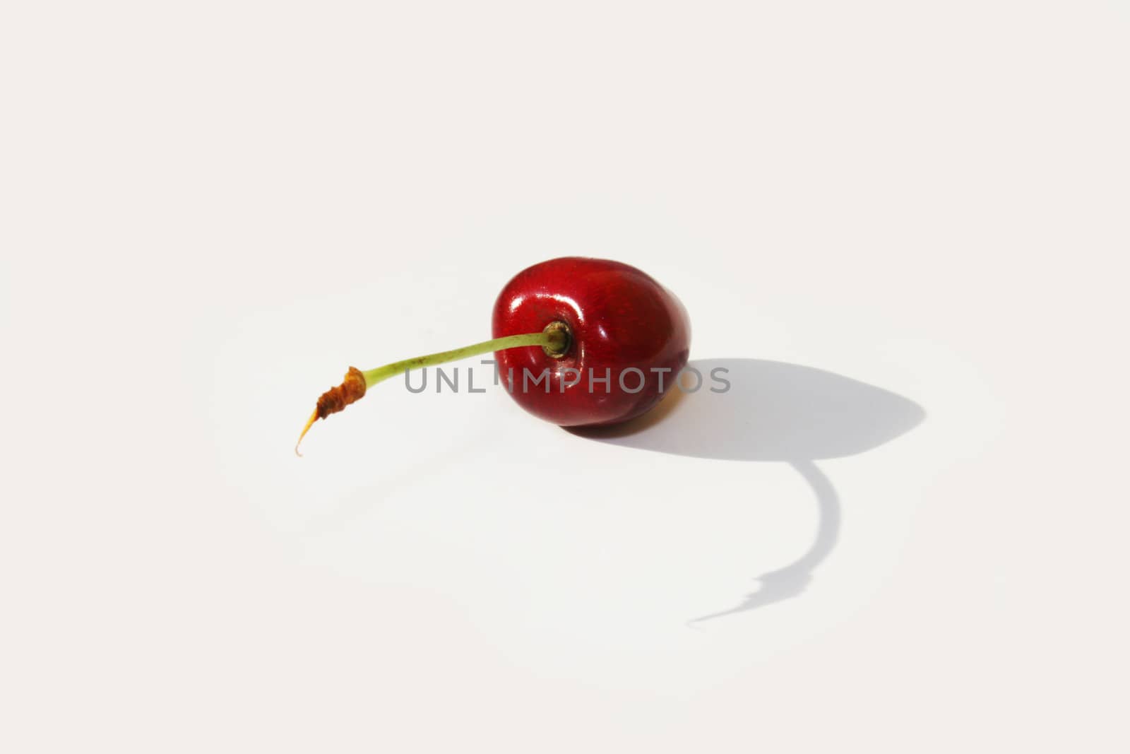 Single cherry against white background with shadow