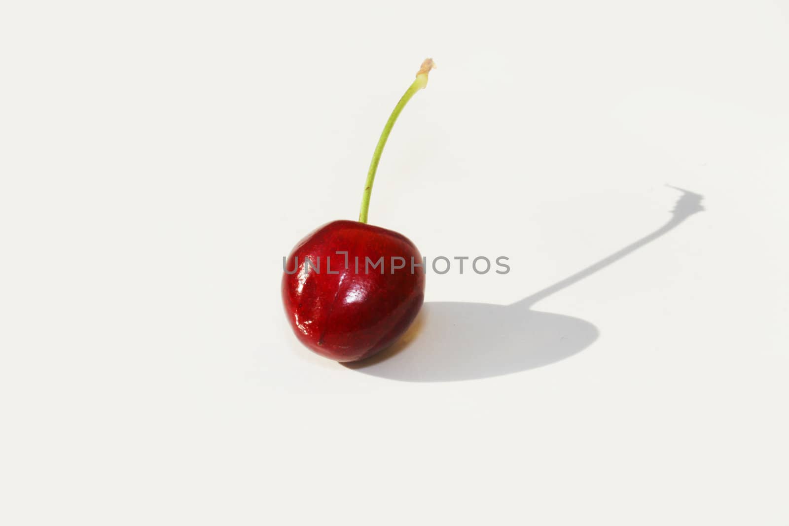 Single cherry by timscottrom