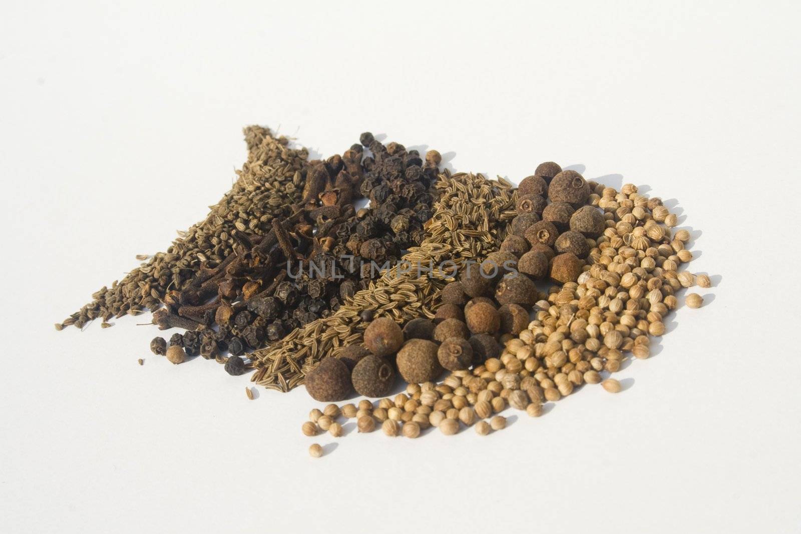 Various spices against white background