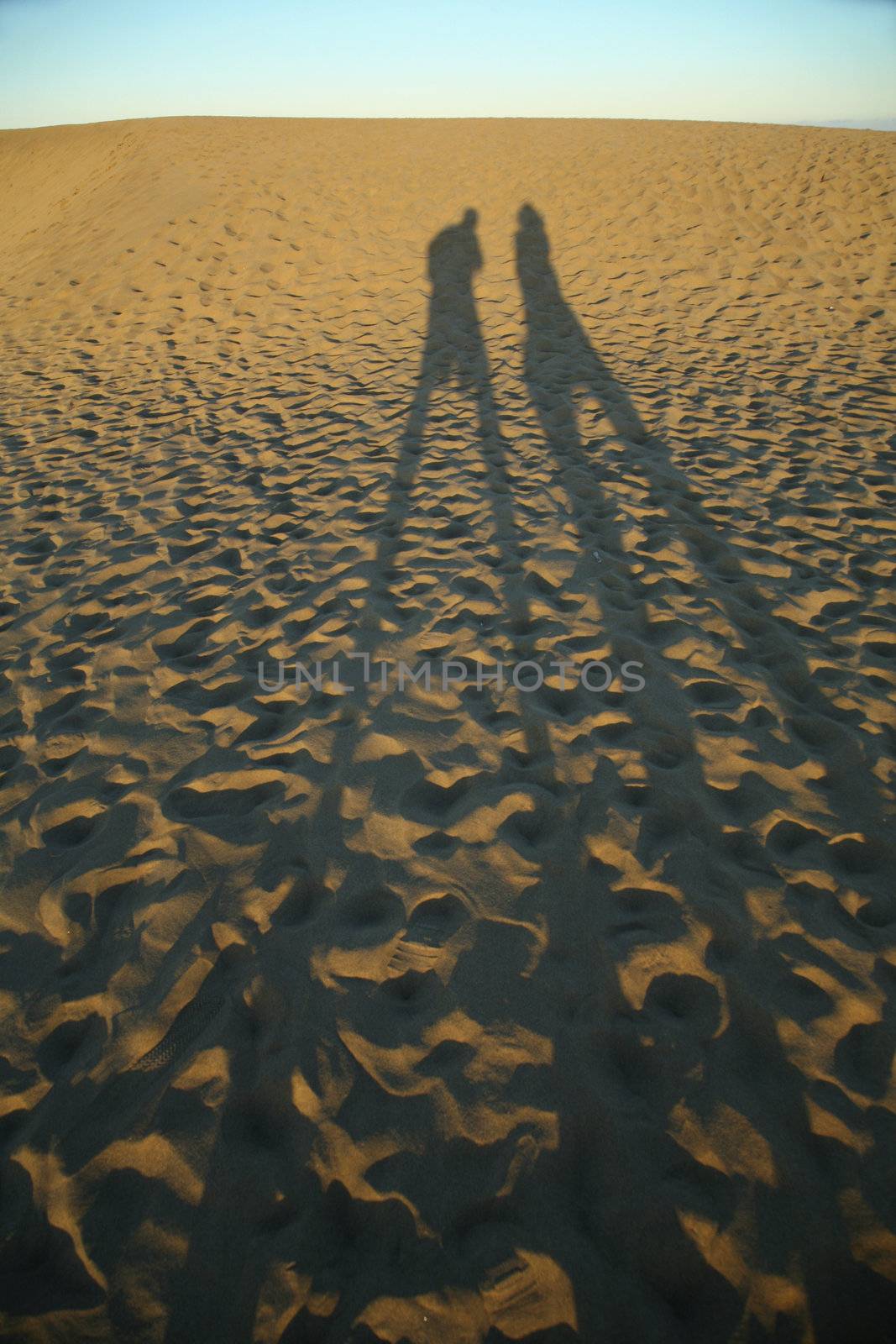 couple of shadows on the sand