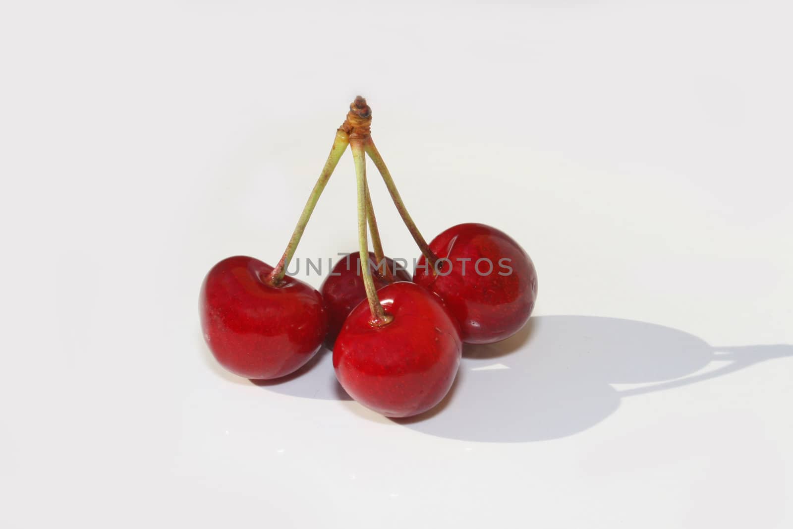 Cherries against white background