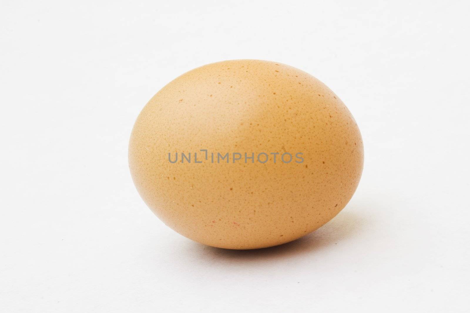 Speckled egg by timscottrom