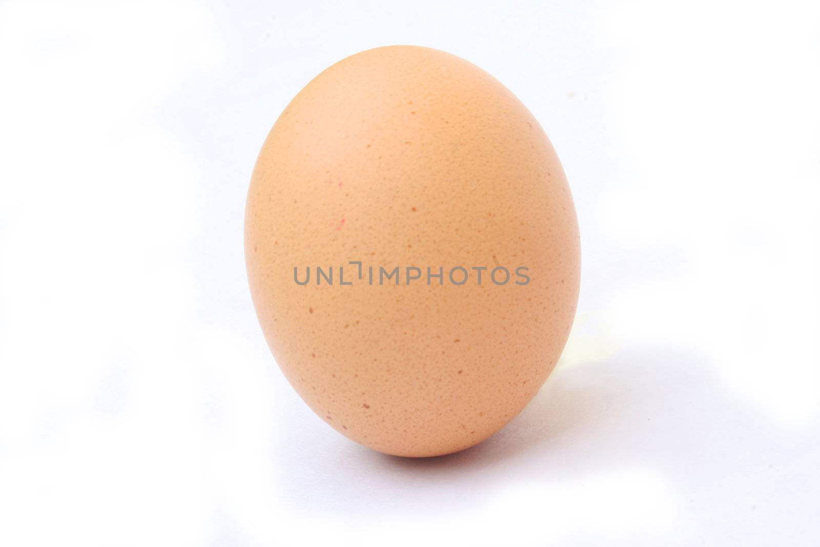 Speckled egg against white background