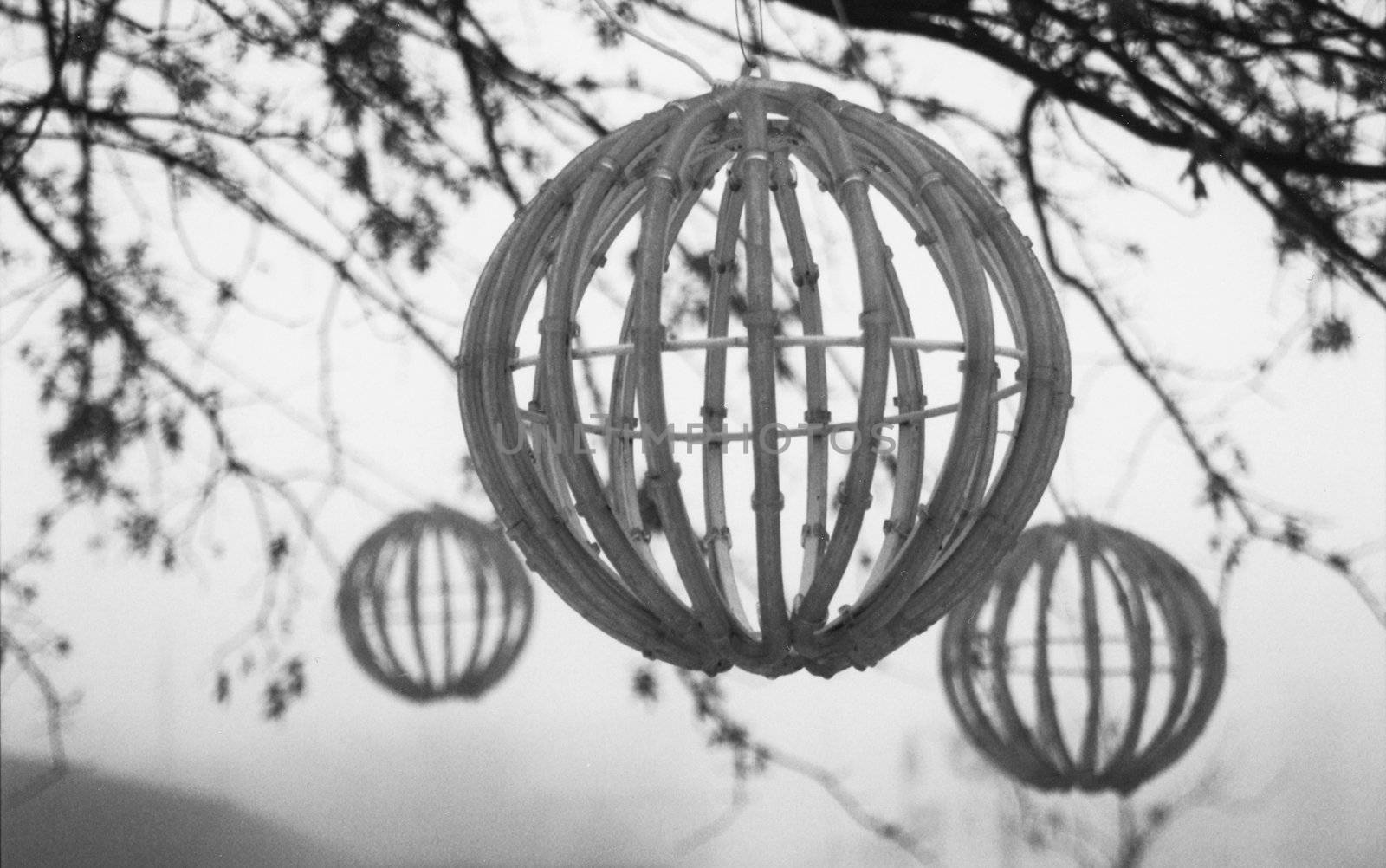 Wooden globes hanging from trees in city park