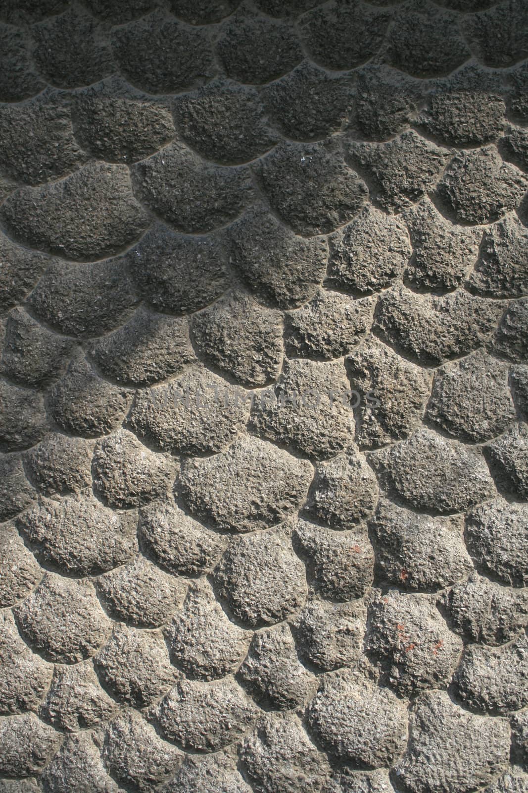 Formed cobblestones with dappled tree formed light