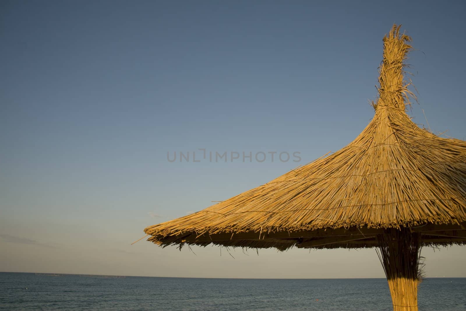 Single thatched umbrella by timscottrom