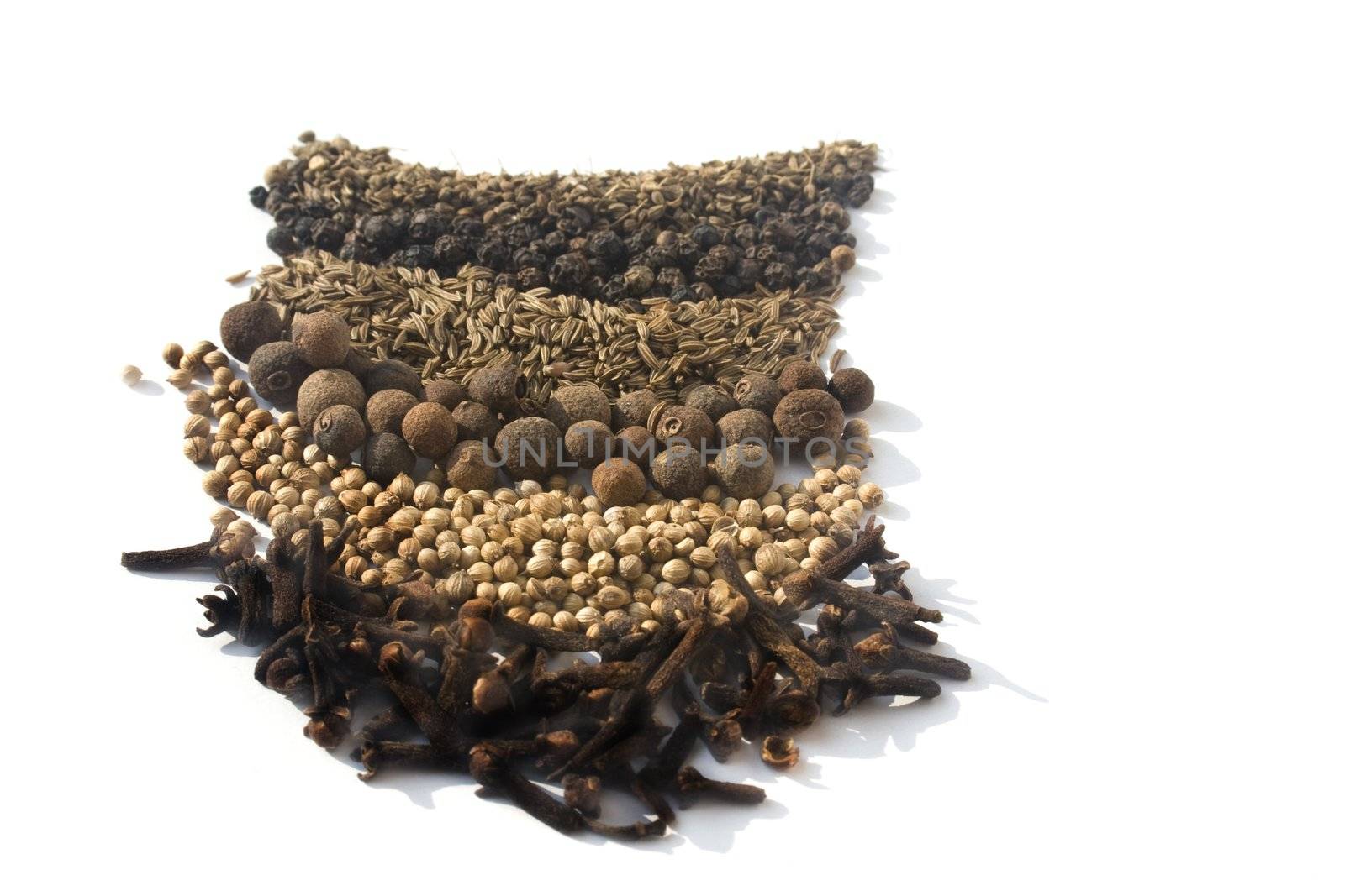 Various spices against white background