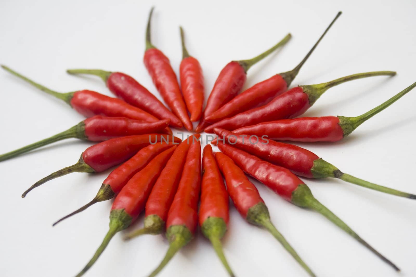 A pile of small red chili peppers arranged and isolated against a white background