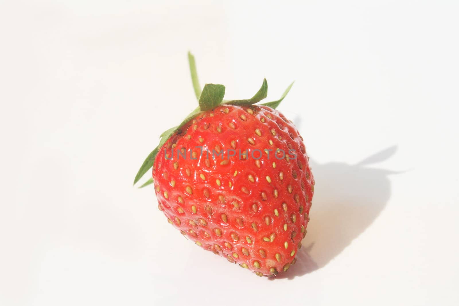 Single strawberry against white background