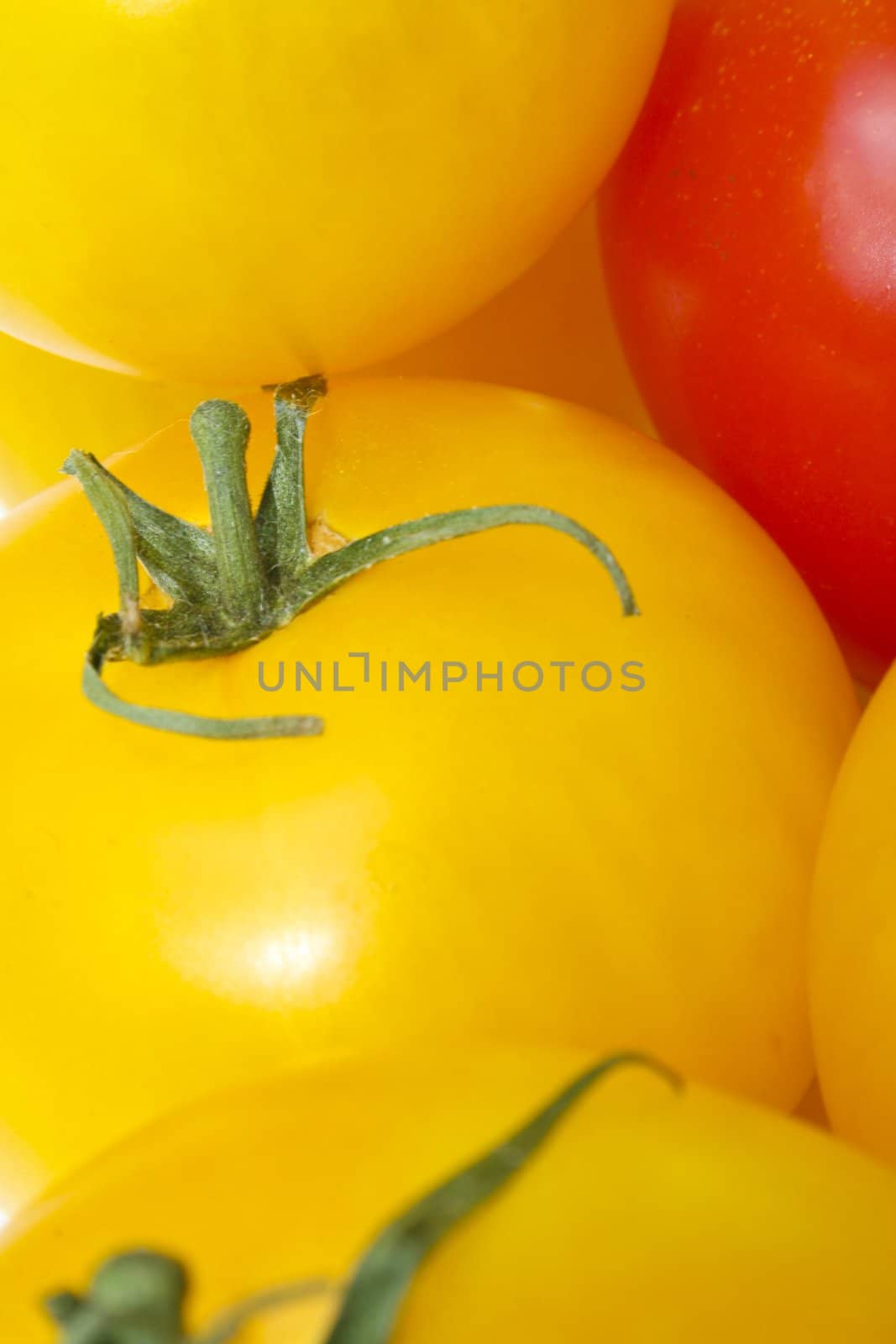 Close-up of yellow and red tomatoes