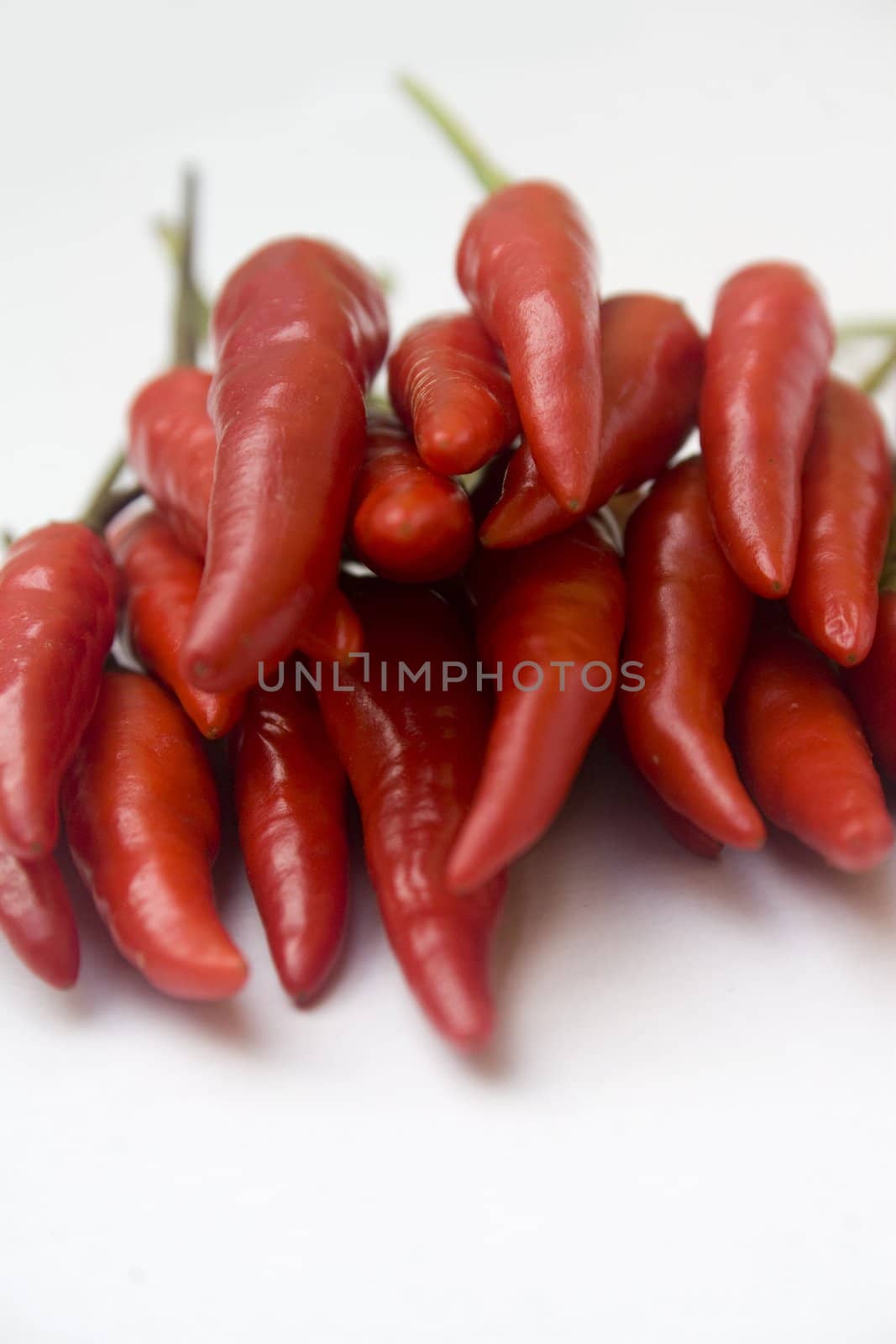 Chili  peppers against white background by timscottrom