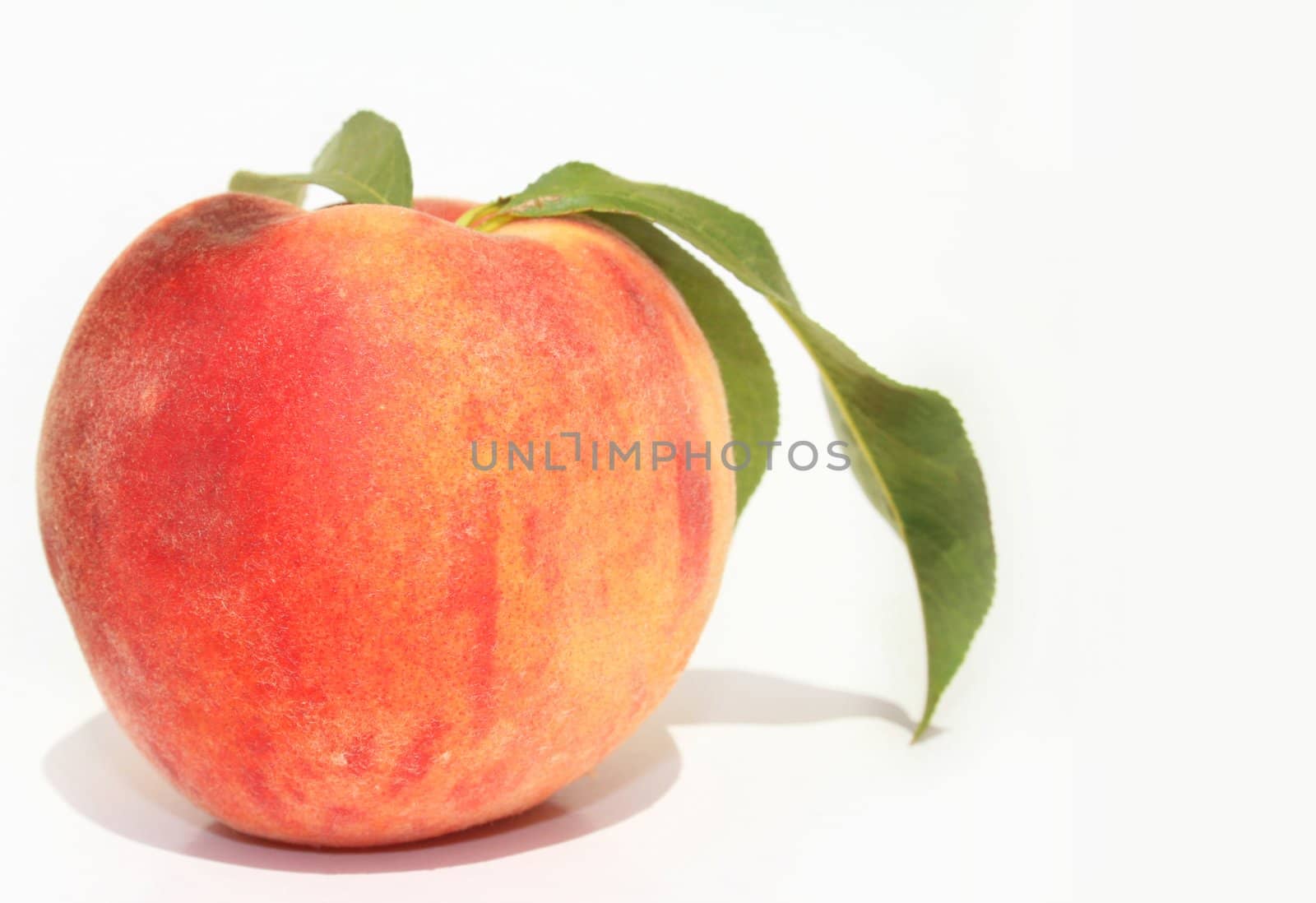 Single ripe peach with green leaves on white background
