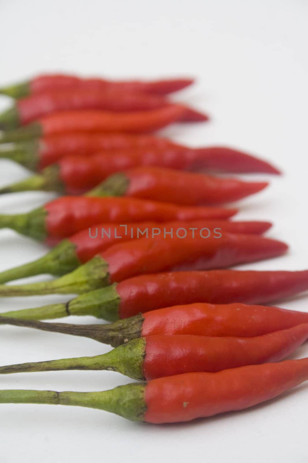 Chili peppers by timscottrom