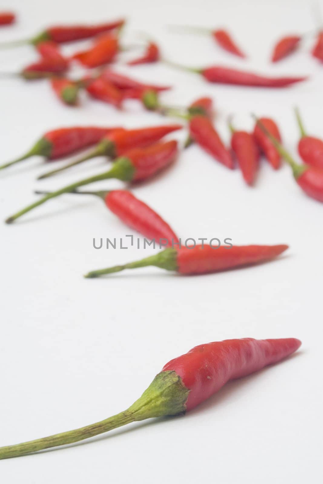 An arrangement of small red chili peppers isolated against a white background