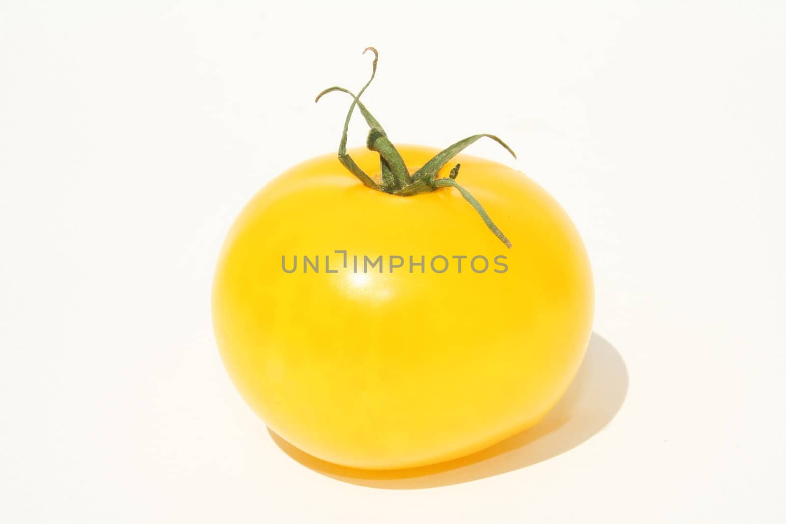 Single yellow tomato on white background