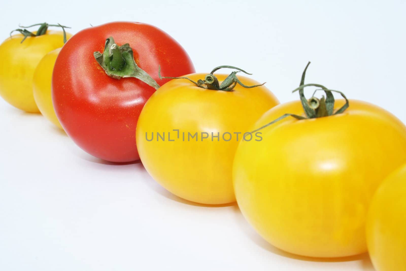 Tomatoes by timscottrom