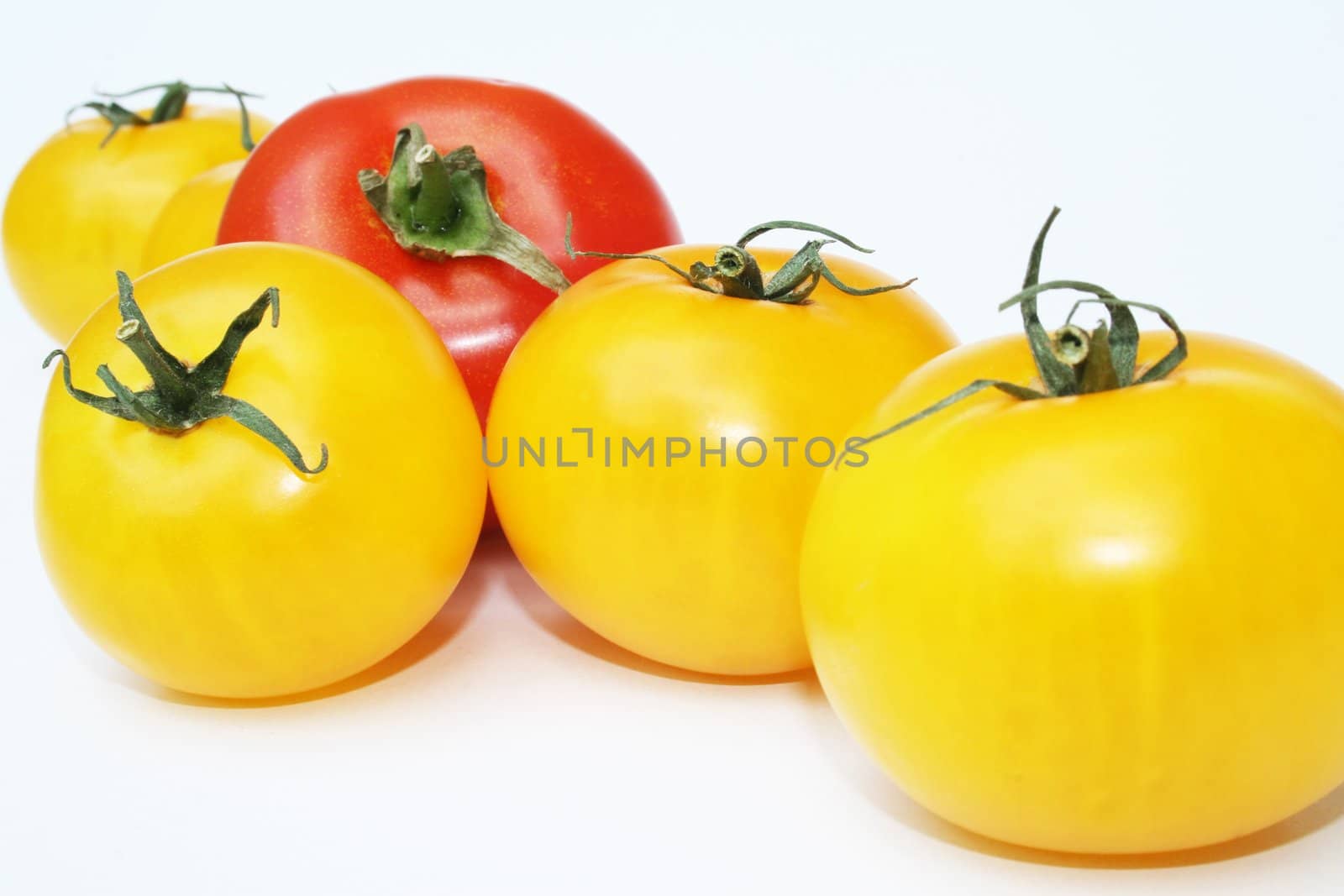 Yellow and red tomatoes isolated against white background