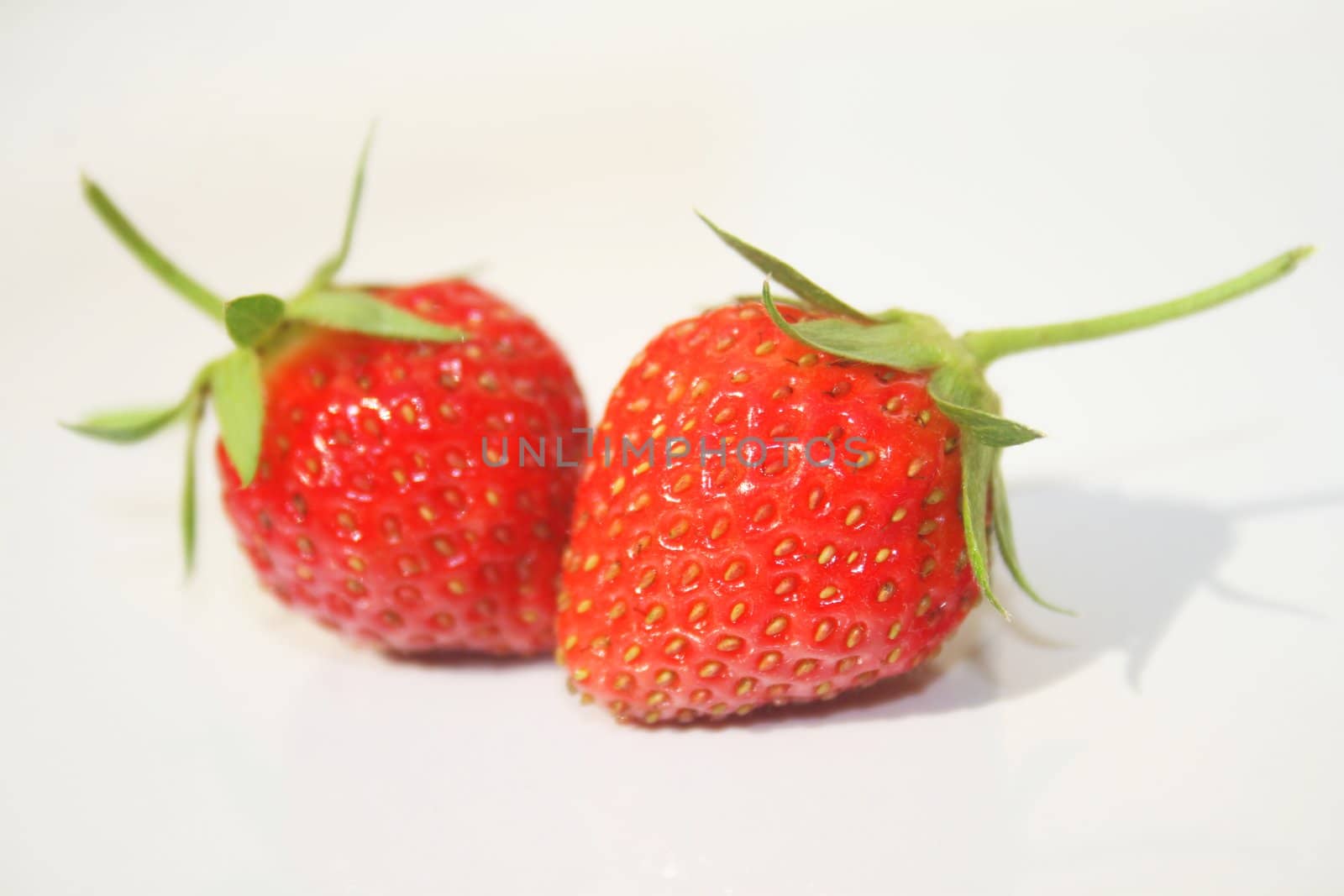 Two wild strawberries against white background