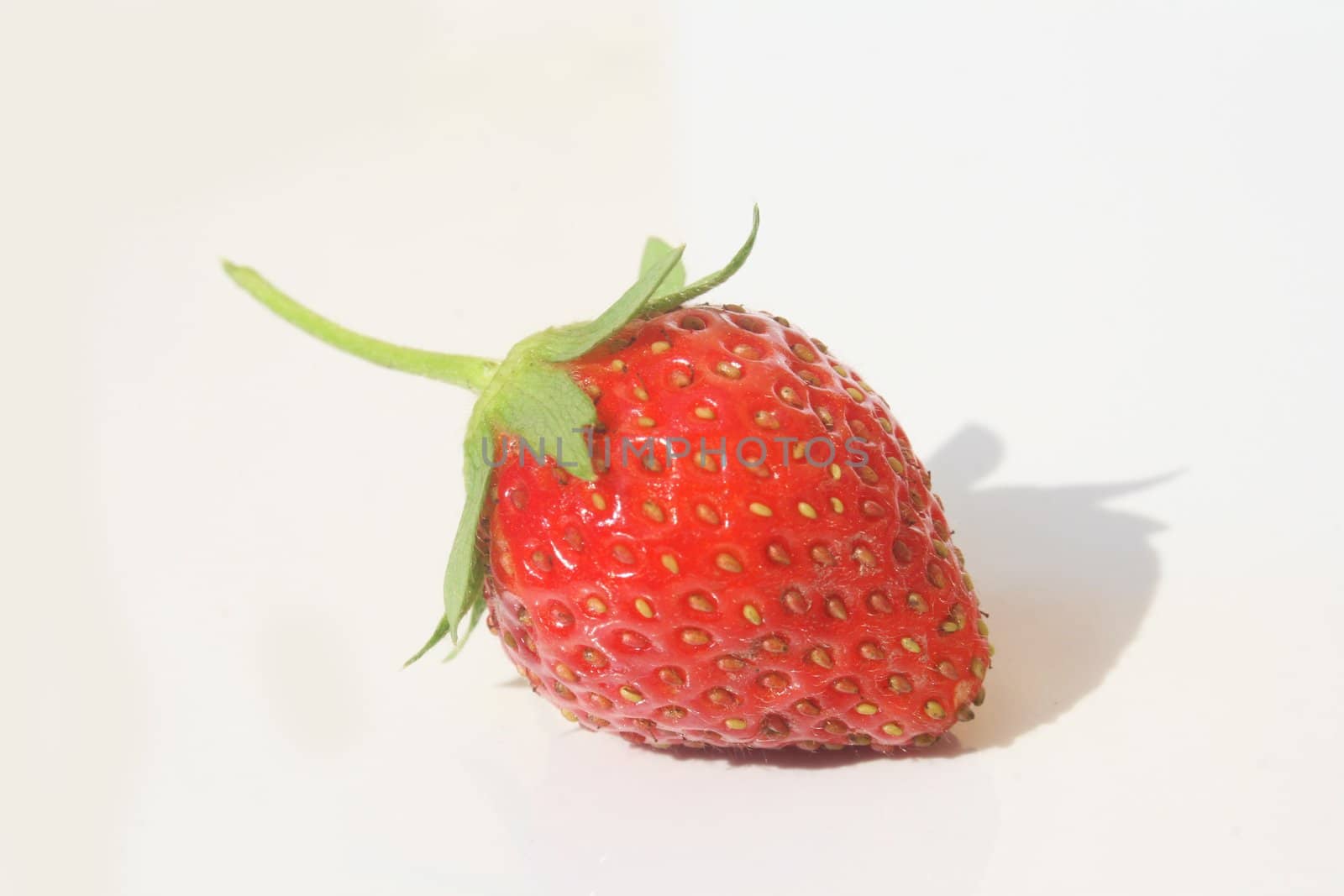 Wild strawberry against white background
